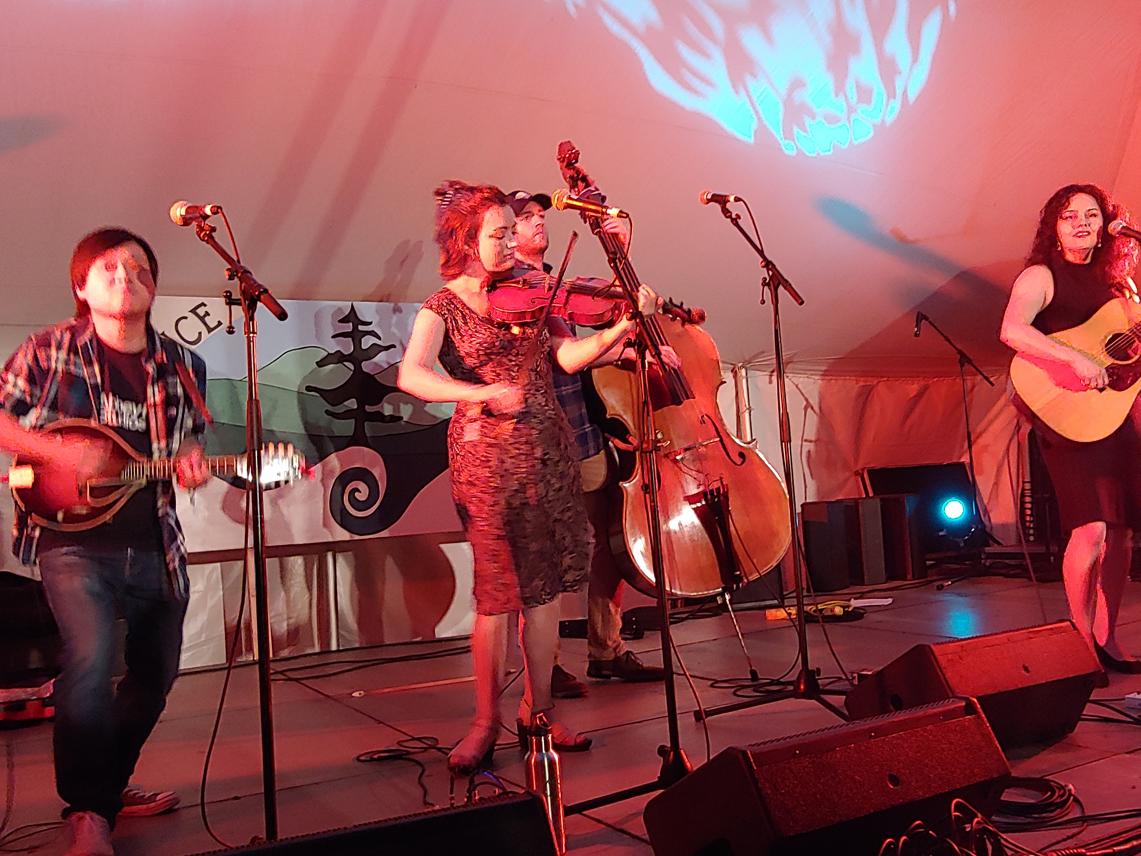 TwistedPine2018-08-16GreenMountainBluegrassAndRootsFestivalManchesterVT (1).jpg